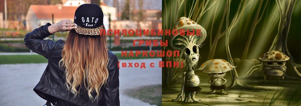 спиды Тында